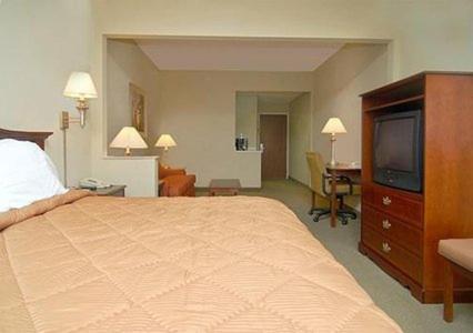 Comfort Suites Gadsden Attalla Exteriér fotografie